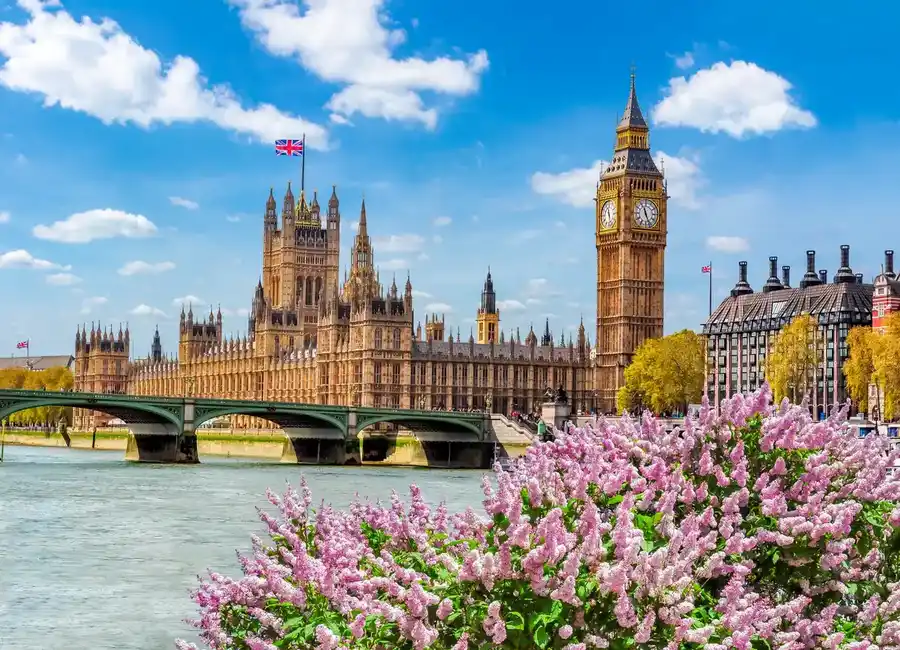 Big Ben and the Palace of Westminster framed by spring blossoms